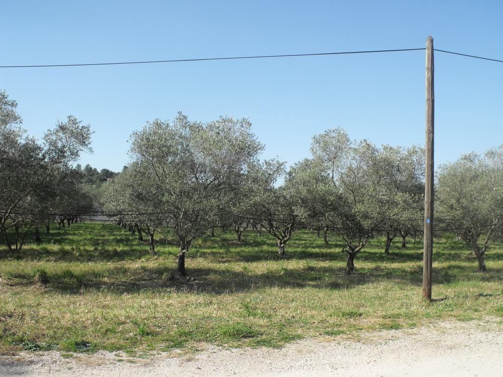Domaine De La Marseillaise