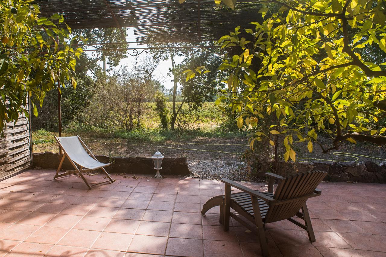 Domaine De La Marseillaise Apartment